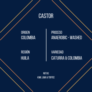 Castor