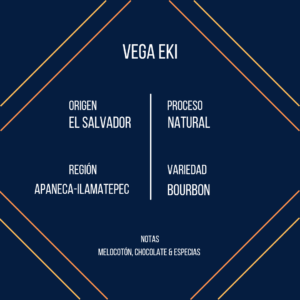 Vega EKI