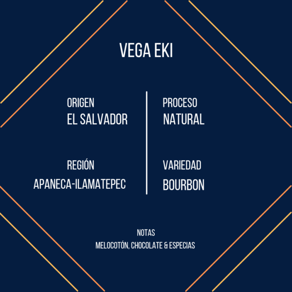 Vega EKI